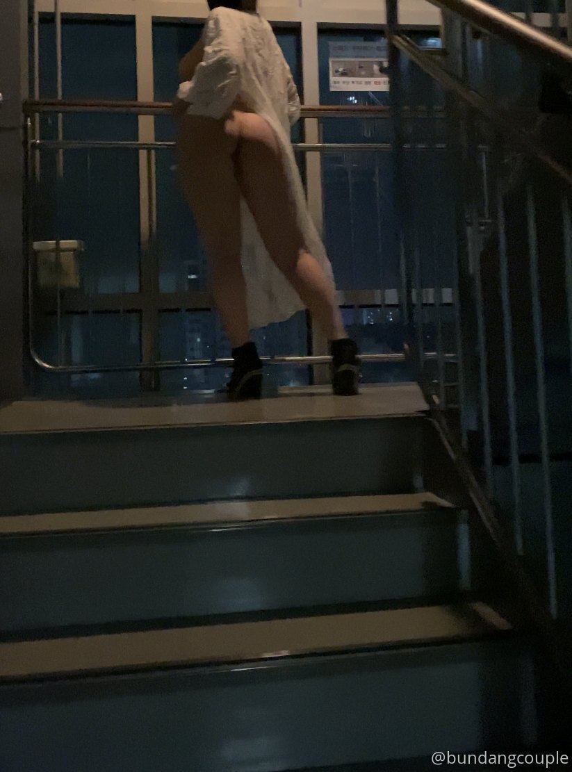 奶牛2